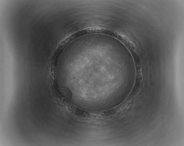 X0000113300870200909211119