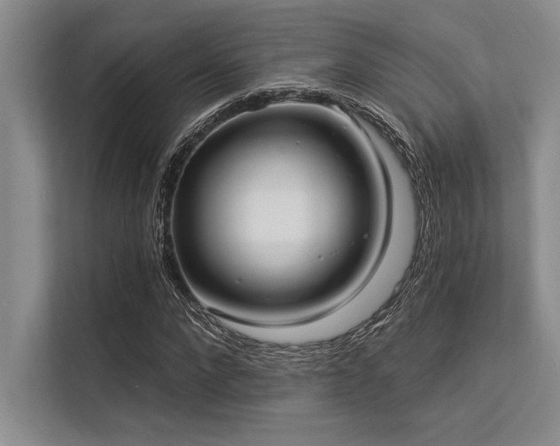 X0000113300872200909211119