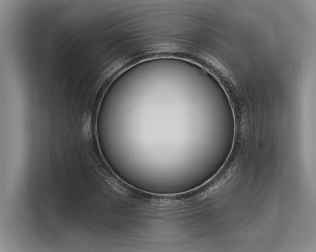 X0000113300873200909211119