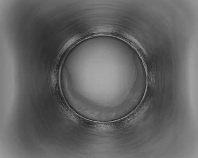 X0000113300874200909211119