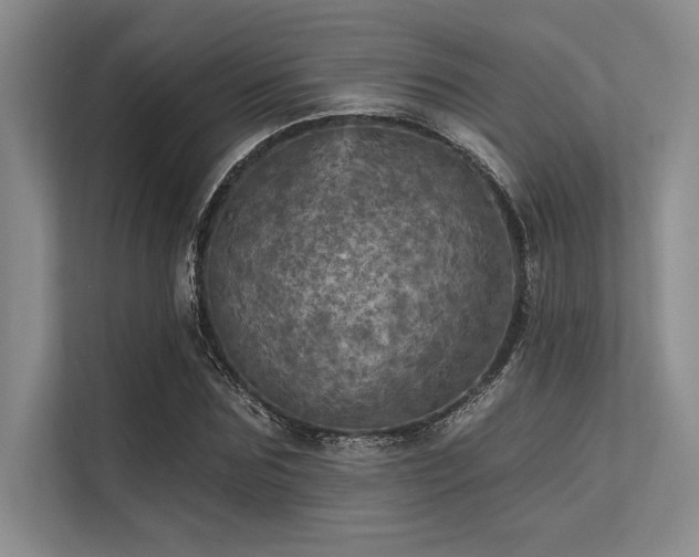 X0000113300875200909211119