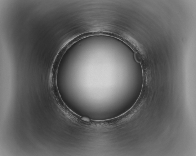 X0000113300876200909211119