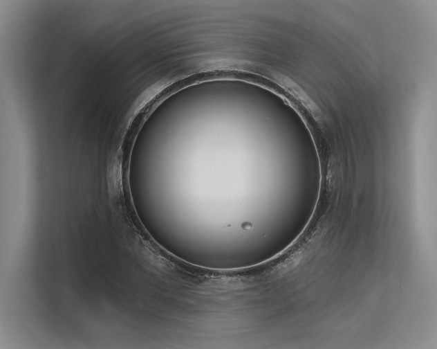 X0000113300877200909211119