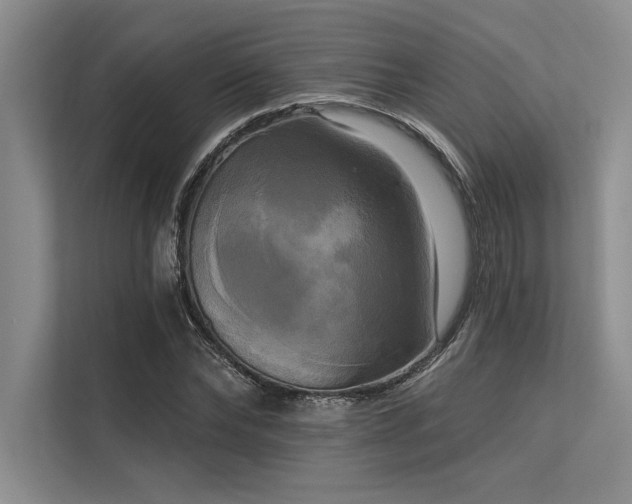 X0000113300878200909211119