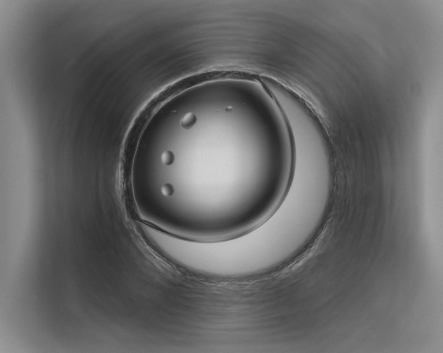 X0000113300880200909211119