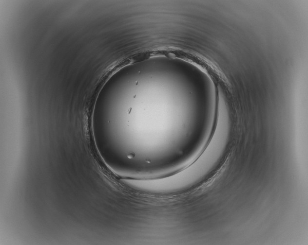 X0000113300881200909211119