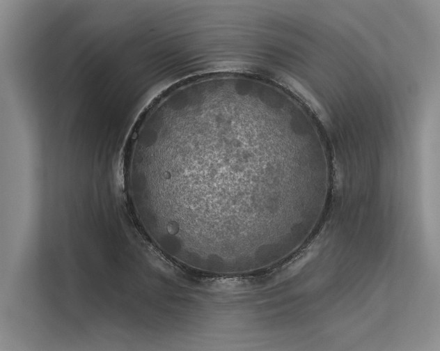 X0000113300883200909211119