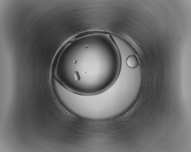 X0000113300884200909211119