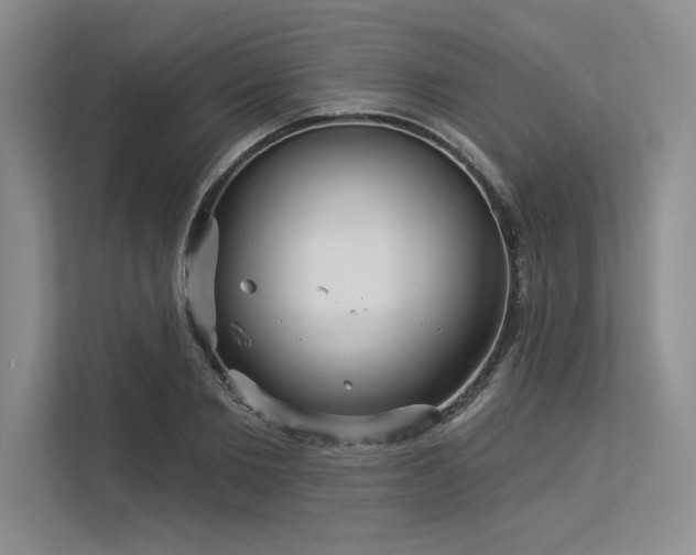 X0000113300885200909211119