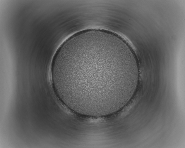 X0000113300887200909211119