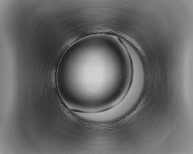 X0000113300889200909211119