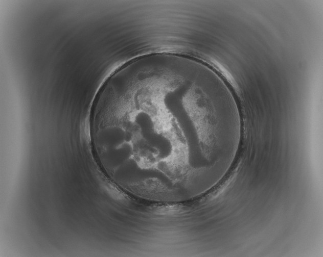 X0000113300891200909211119