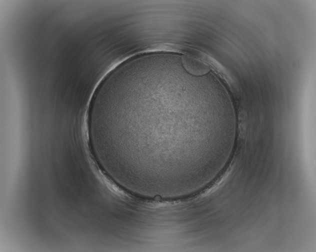 X0000113300892200909211119