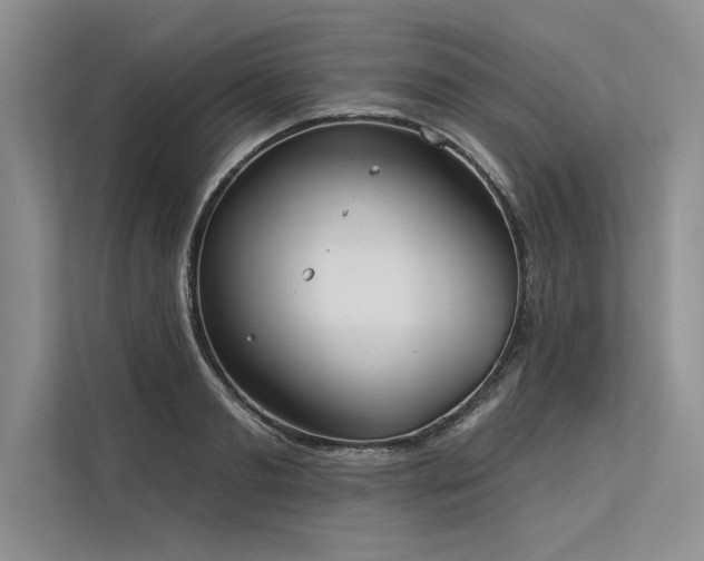 X0000113300893200909211119