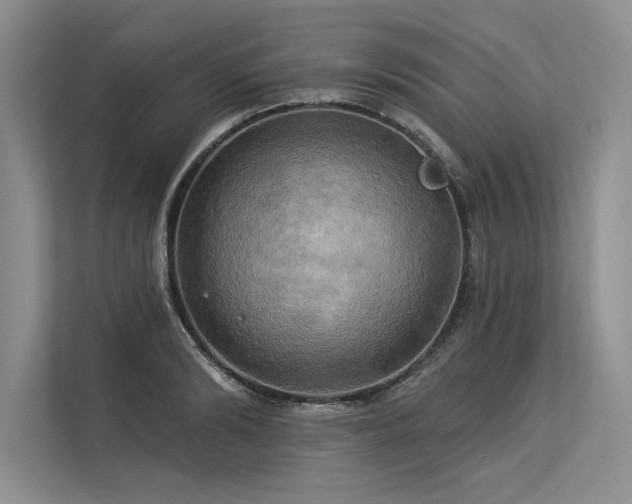 X0000113300894200909211119