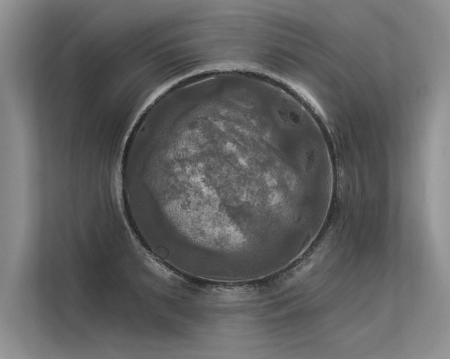 X0000113300895200909211119