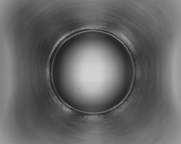 X0000113300896200909211118