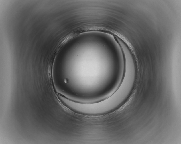 X0000113300897200909211118