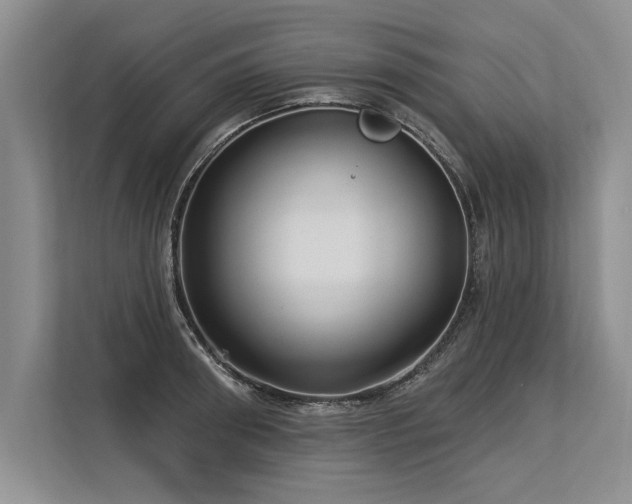 X0000113300898200909211118