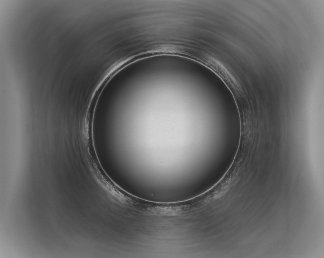 X0000113300900200909211118