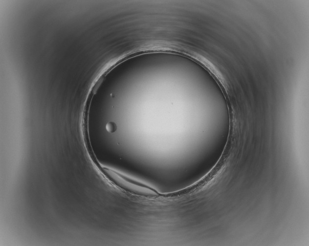 X0000113300901200909211118