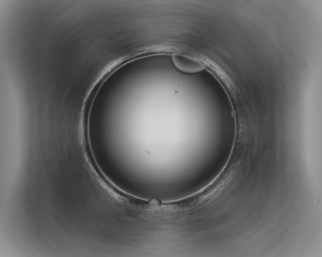 X0000113300902200909211118