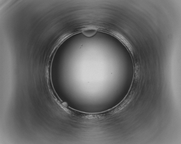 X0000113300906200909211118