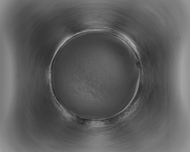 X0000113300907200909211118