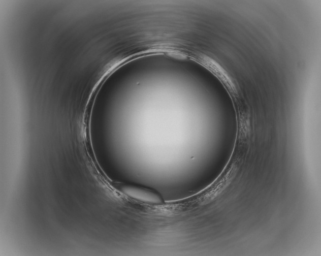 X0000113300908200909211118