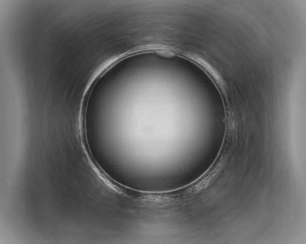 X0000113300910200909211118