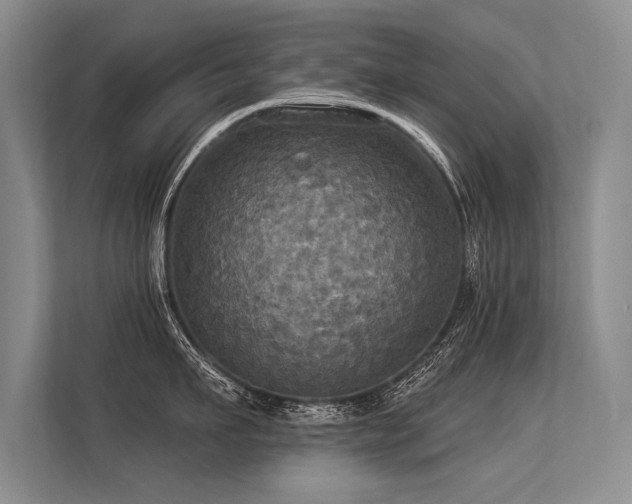 X0000113300911200909211118