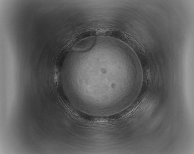 X0000113300914200909211118