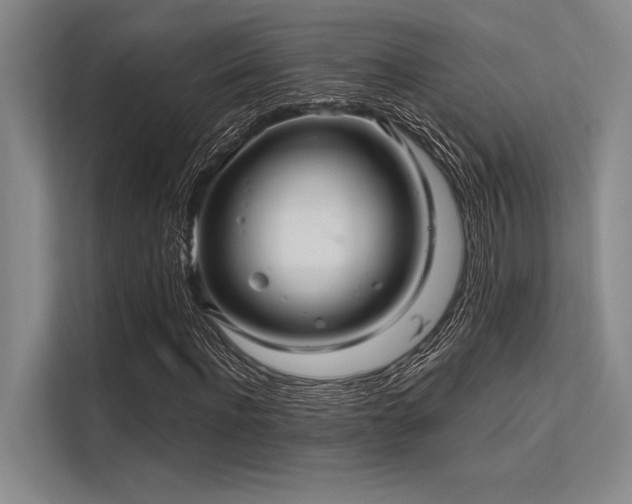 X0000113300916200909211118