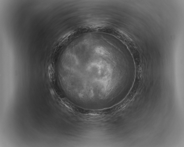 X0000113300917200909211118