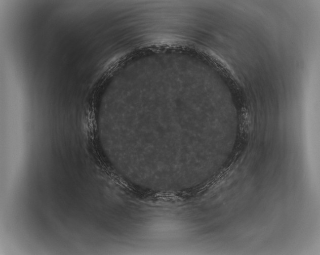 X0000113300918200909211118