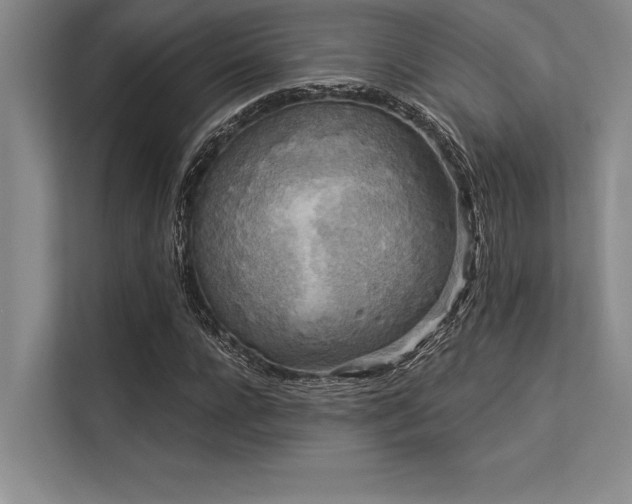 X0000113300920200909211118