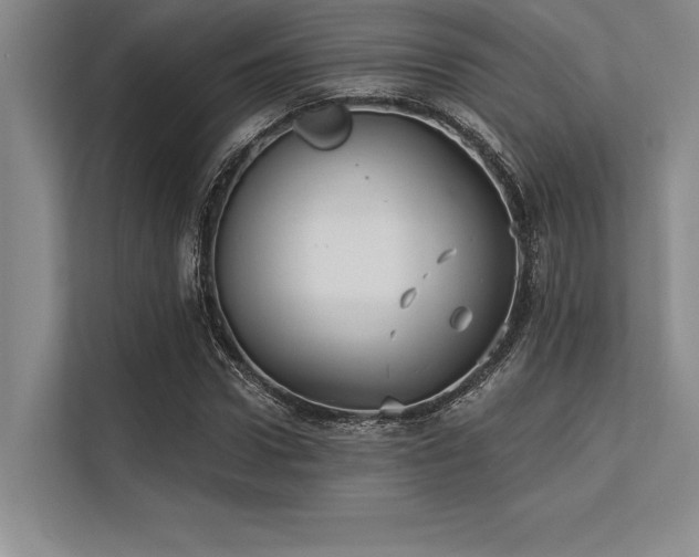 X0000113300922200909211118