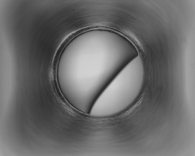 X0000113300924200909211118