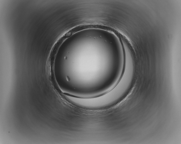 X0000113300925200909211118