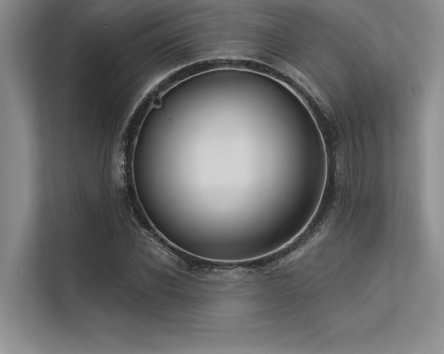 X0000113300926200909211118