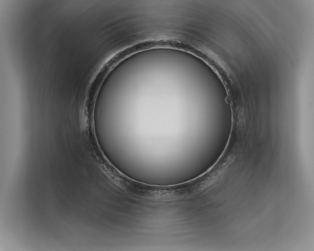 X0000113300927200909211118