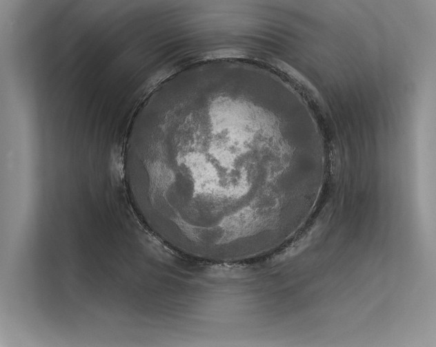 X0000113300929200909211118