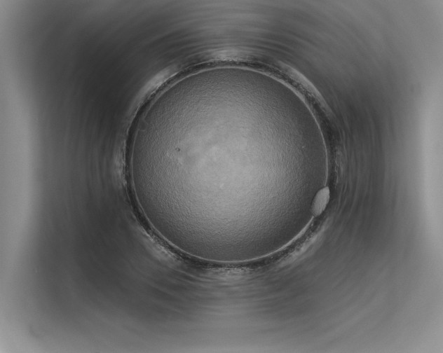 X0000113300930200909211118