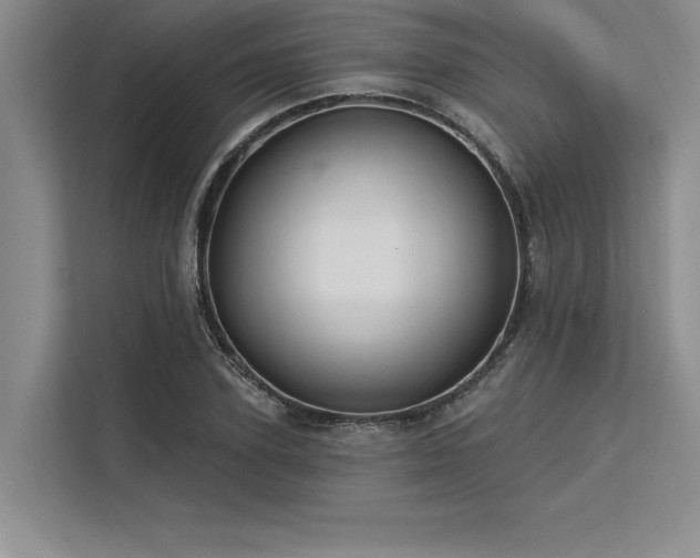 X0000113300931200909211118