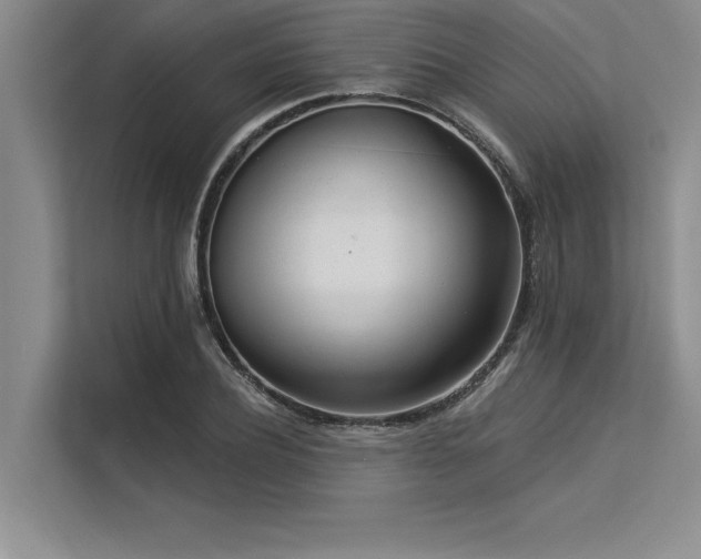 X0000113300932200909211118