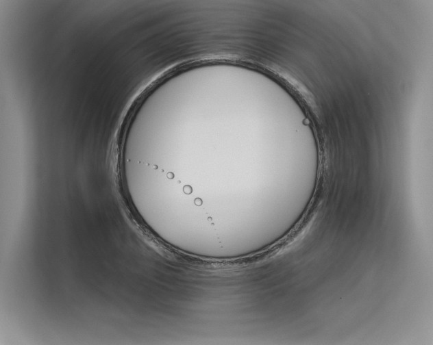 X0000113300933200909211118