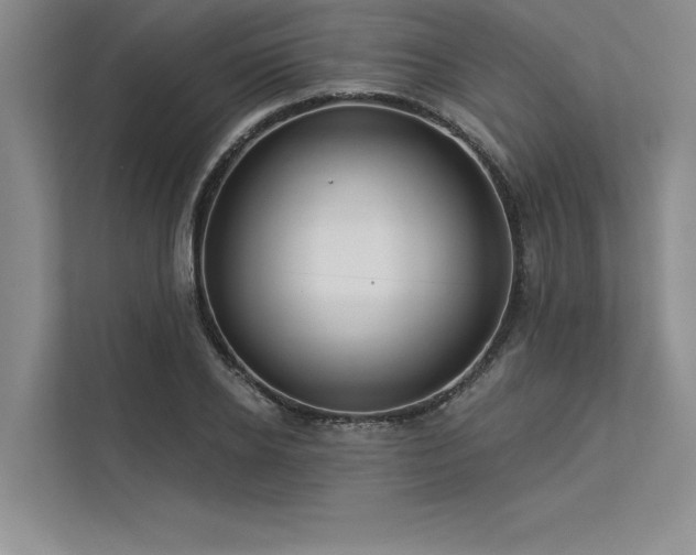 X0000113300934200909211118