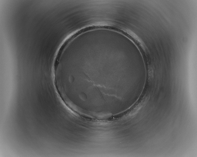 X0000113300935200909211118