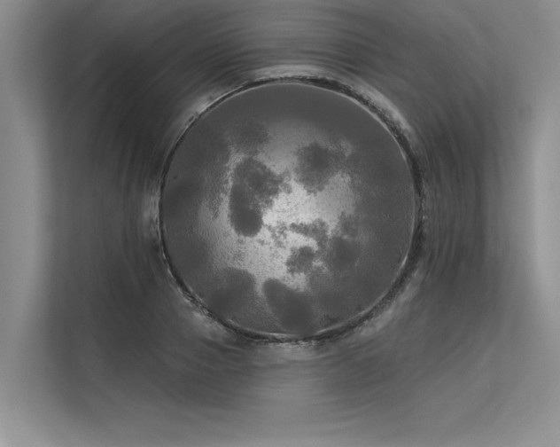 X0000113300937200909211118