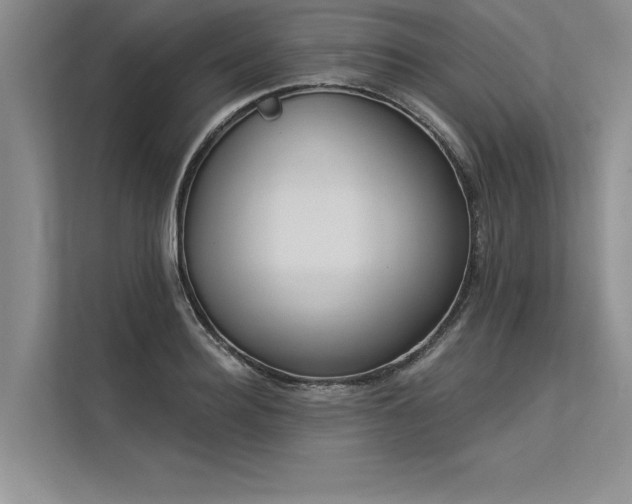 X0000113300940200909211118